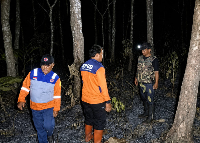 Dua Hektare Lahan Perhutani di Kawunganten Cilacap Terbakar, Penyebab Belum Diketahui