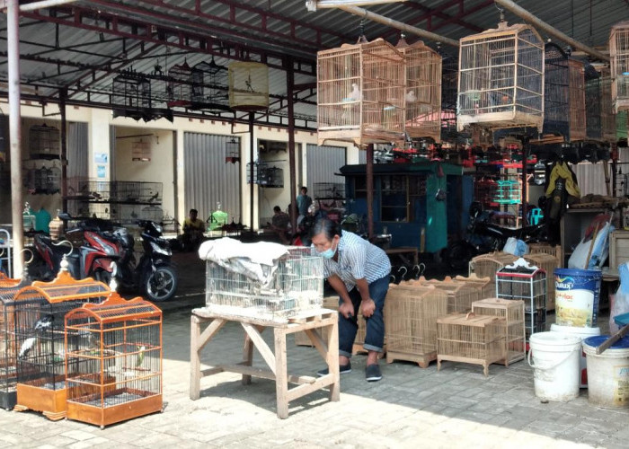 Lahan Parkir Lantai 2 Pasar Burung Peksi Becingah Sepi, Dibuat Pasar Kuliner Malam 