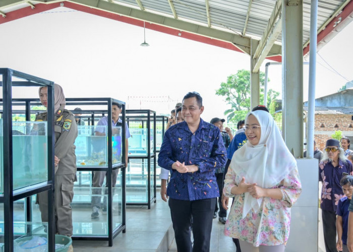 Perkuat Sentra Nila, Pasar Ikan Lengkong Jadi Simpul Distribusi Baru Perikanan Banjarnegara