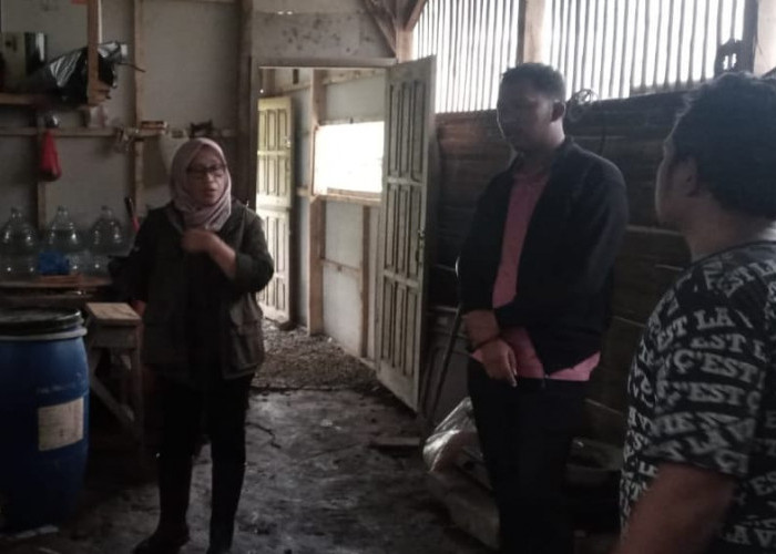 Magot BSF Jadi Andalan, Sampah Dapur Warga Kalibening Beri Manfaat Ganda dan Bernilai Ekonomis