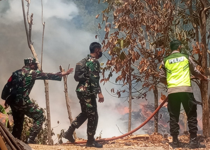 Kebakaran di Pengadegan Purbalingga, 5.000 Meter Persegi Area Limbah CV Sinar Sengon Mas Terbakar