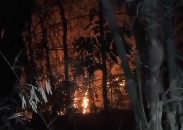 Karhutla Kembali Terjadi di Kertanegara Purbalingga, 5 Hektare Lahan di Alas Depok Terbakar