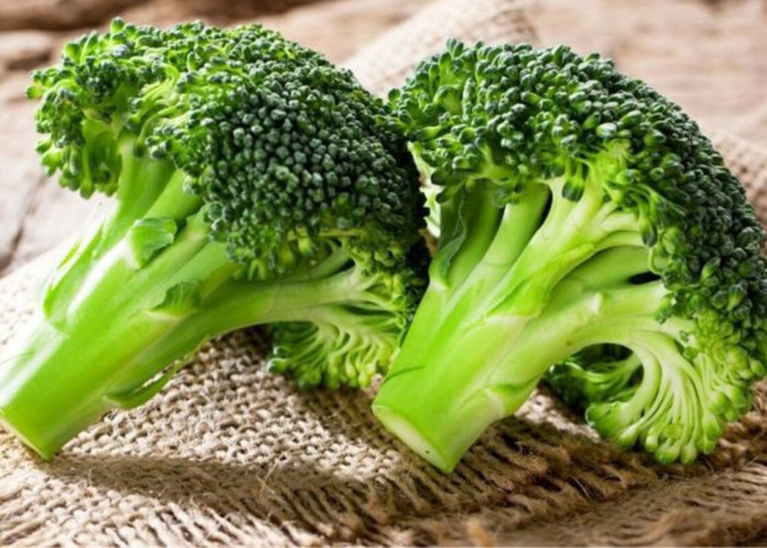 7 Manfaat Brokoli Untuk Tumbuh Kembang Anak