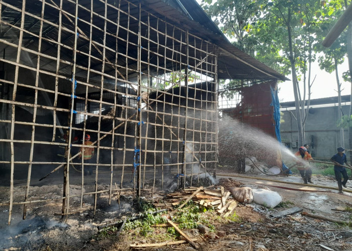 Gudang Limbah Serbuk Kayu Milik PT Sabda Alam di Majenang, Cilacap Terbakar