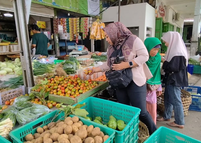 Cuaca Ekstrem Akibatkan Cabai Gagal Panen, Stok Menipis dan Harga Melonjak