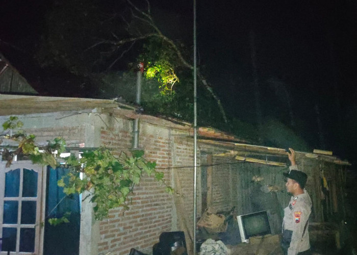Pohon Tumbang Timpa Rumah Warga Bonorowo