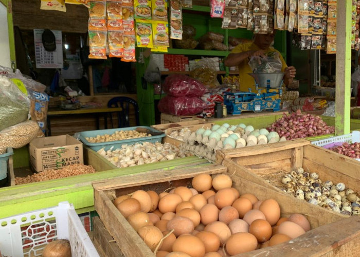 Kenaikan Harga Telur Ayam Ras dan Daging Ayam Ras Picu Inflasi di Cilacap
