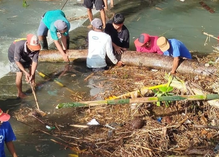 Material Kayu Penuhi Bendung Karanggedang Banyumas, Banjir Sungai Reja Dua Hari Berturut-Turut