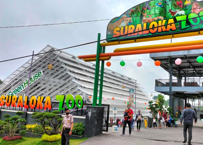 Berlibur ke Suraloka Interactive Zoo di Jogja, Destinasi Wisata Keluarga yang Seru dan Edukatif