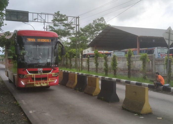 Trayek Gemuk Hambat Trans Banyumas, Angkutan Konvensional Berebut Penumpang di Ajibarang–Pasar Pon