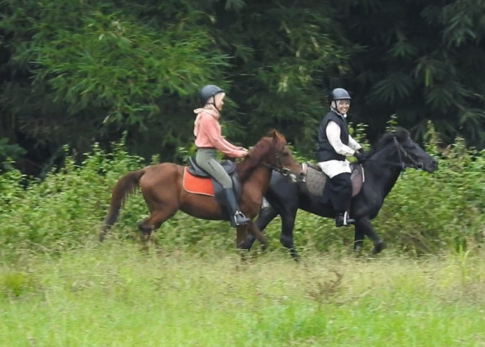 Mau Berkuda fdi Banjarnegara, Cek Lokasi Serunya Olahraga Berkuda Menelusuri Pedesaan