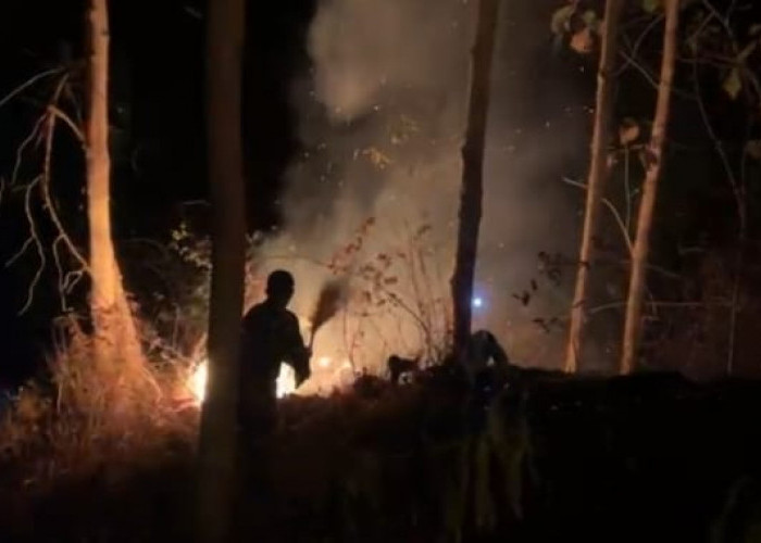 Kebun Jati Tiga Hektar Terbakar di Lumbir Banyumas, Api Dekati Permukiman Karanggayam