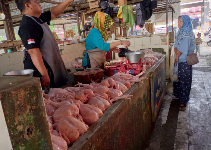 Berikan Layanan Dagang Online Pedagang Pasar, Dinperindag Purbalingga Tingkatkan Aplikasi SIMHP