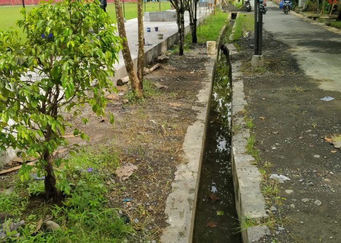 Drainase Depan RTH Tanjung Tidak Berfungsi Maksimal