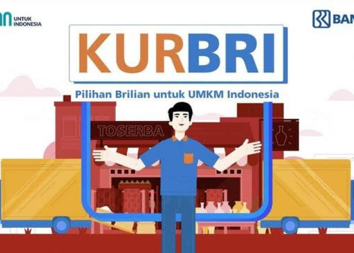 KUR BRI 2024, Solusi Terbaik Bagi UMKM untuk Mengembangkan Usaha