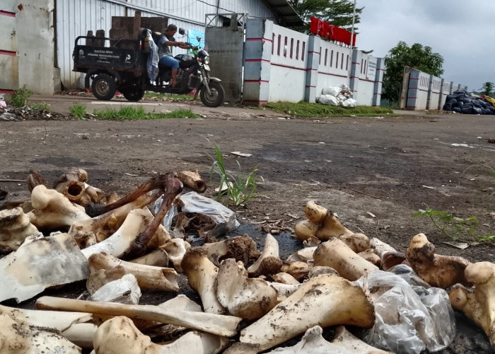 TPST Sumpiuh Banyumas Minta Sampah Tulang Dipisah, Limbah Kurban Berisiko Ganggu Mesin Pengolahan