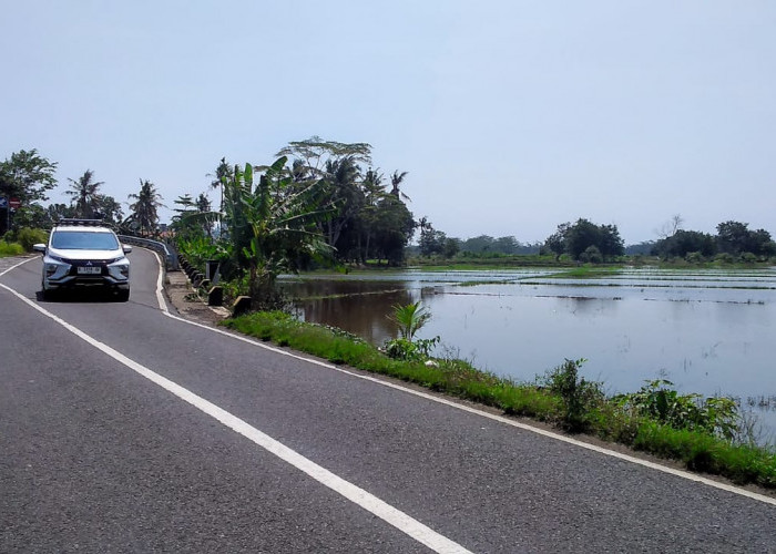 Warga Usulkan Lampu Penerang di Jalan Akses Antar Kabupaten 