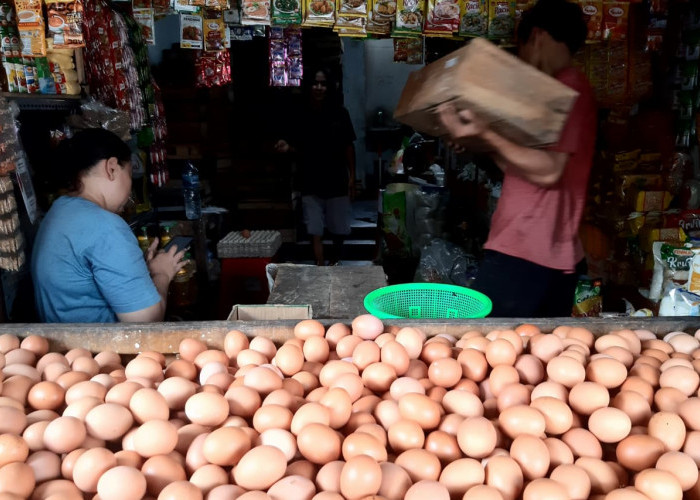 Permintaan Membludak Stok Menipis, Harga Telur di Purwokerto Meroket