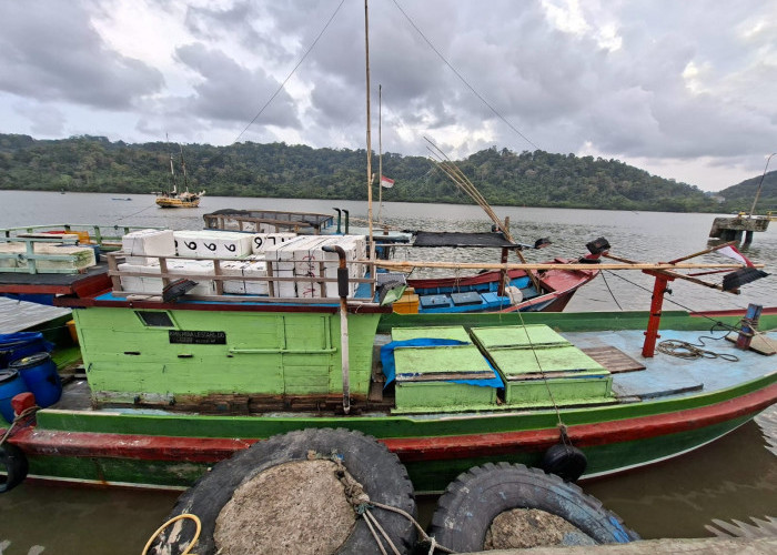 Cuaca Buruk, Tangkapan Ikan Nelayan di PPS Cilacap Menurun Drastis