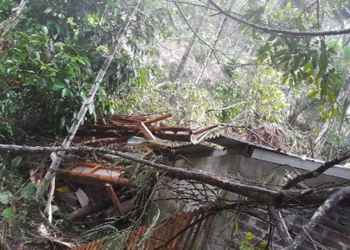 Diterjang Longsor, Satu Rumah di Desa Banjarpanepen Hilang