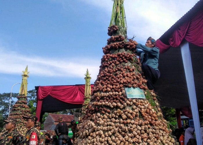 Lestarikan Tradisi, Grebeg Ribuan Ketupat Slamet di Binangun