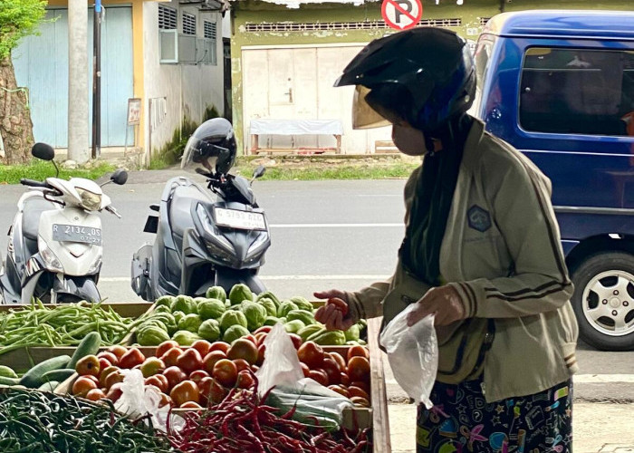 Dieng Fresh Mart Jadi Andalan Tempat Belanja Sayur Segar Tanpa Ribet