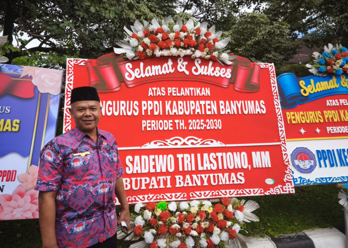 PPDI Dorong Penghasilan Perangkat Desa Sesuai UMR dan Dapat Gaji ke-13