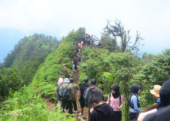 Gunung Beser Jadi Saksi Reuni Sehat Alumni IKAGA