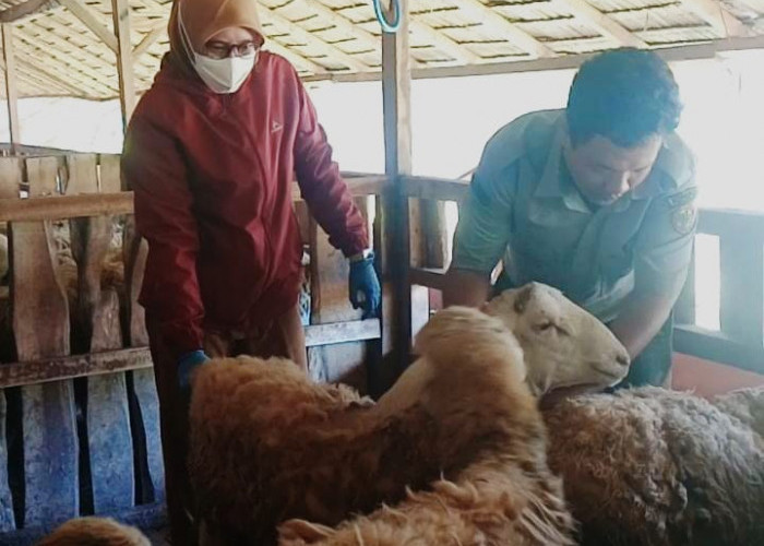 Tahun Ini, Baznas Cilacap Kelola Dam 250 Jamaah Haji