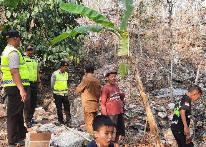Tujuh Hektare Lahan di Jemur Terbakar
