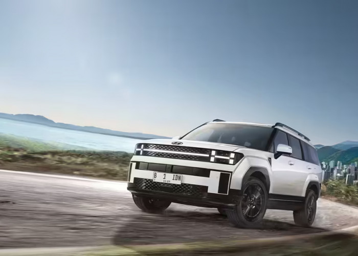 Simak Mobil Hyundai Santa Fe, Mobil Barunya Tiktokers Arthada!