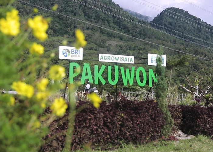 Lewat Program Desa BRILiaN, Desa Pajambon Kuningan Contoh Transformasi Ekonomi Desa Berbasis Potensi Lokal