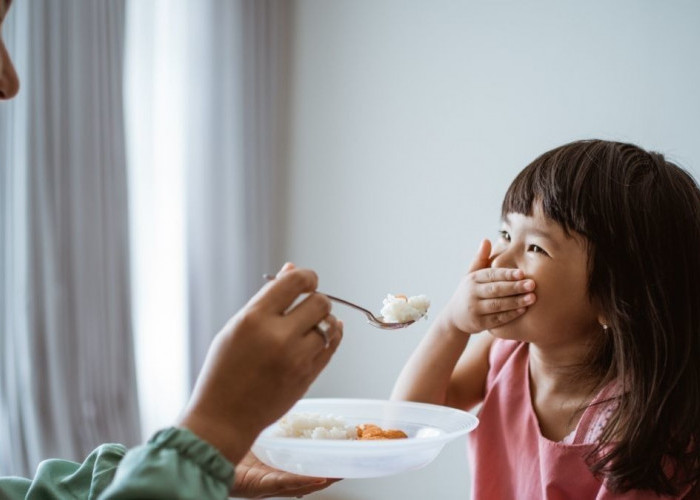 Apa Saja Cara dan Trik Mengatasi Anak yang Susah Makan? Simak Penjelasan Berikut