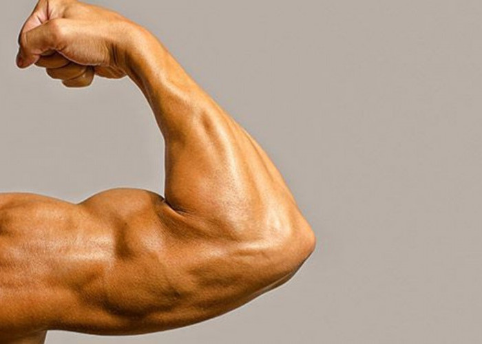 3 Gerakan Sederhana Paling Ampuh untuk Melatih Otot Biceps dan Triceps di Rumah