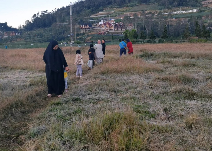 Suhu di Dieng Turun ke 0 Derajat, Embun Es Muncul Pagi Ini