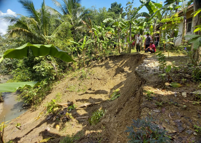 Tebing 20 Meter Longsor, Ancam 2 Rumah Warga di Karangbawang Ajibarang 