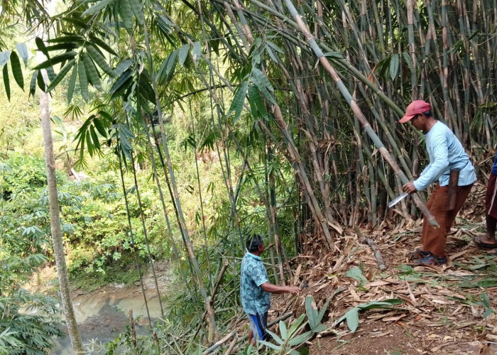 Warga Bersihkan Lokasi Jembatan Gantung Selanegara Banyumas, Akses Penghubung Baru Mulai Dipersiapkan