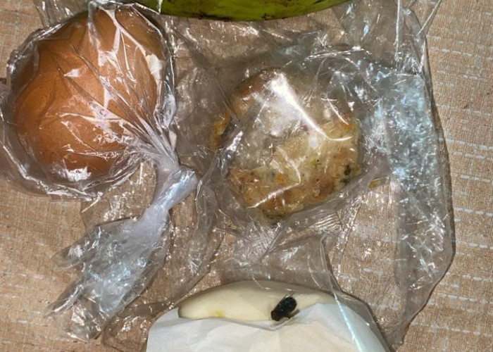 Ada Buah Busuk hingga Menu Dinilai Tak Sesuai Standar, Posko Gerindra Terima 5 Aduan MBG