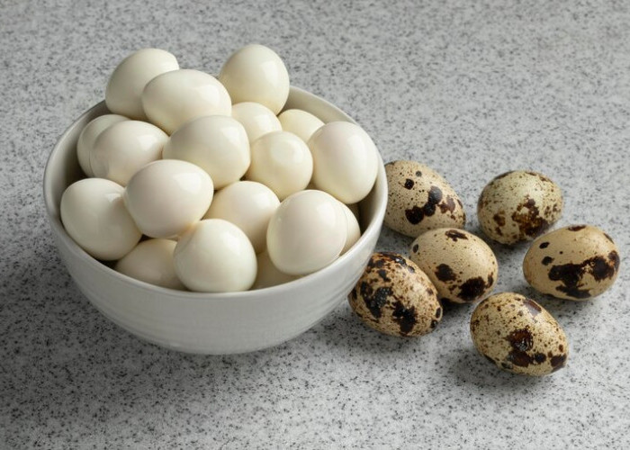 8 Manfaat Telur Puyuh yang Jarang Diketahui 