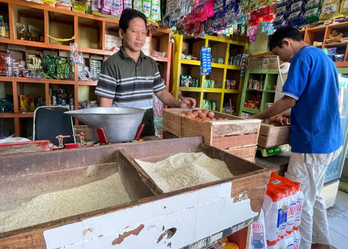 Stok Beras di Cilacap Dipastikan Aman hingga Akhir Tahun 2025, Surplus Ratusan Ribu Ton