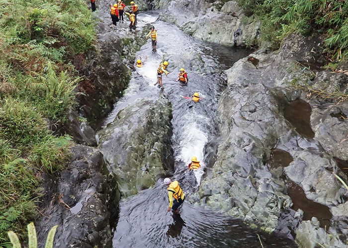 Wisata Baturraden Adventure Forest, Picu Adrenalin dengan Wahana Permainan yang Menantang