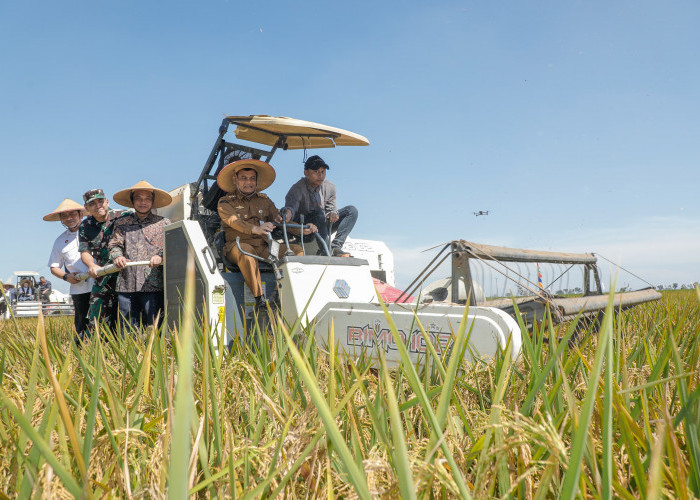 Produktivitas Pangan Jawa Tengah 2025 Capai Target Nasional, Bakal Lebih Digenjot pada 2026
