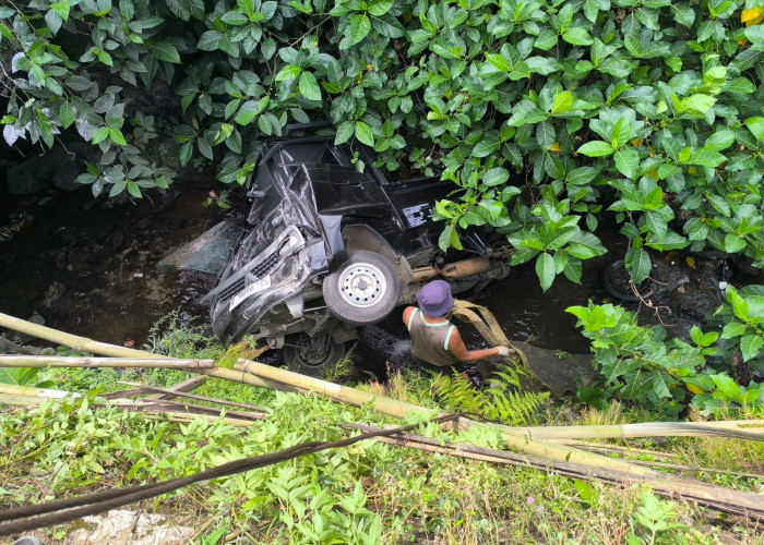 Sopir Baru Belajar Mengemudi, Mobil Pikap Terkun ke Sungai Sedalam 5 Meter