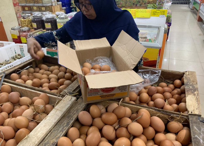 Harga Telur Ayam Ras Naik Sentuh Rp 30 Ribu Per Kilogram 