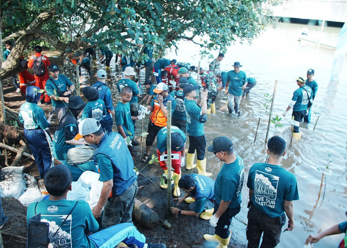 680 Bibit Mangrove, Jejak Hijau Patrapala Kilang Cilacap untuk Energizing Indonesia