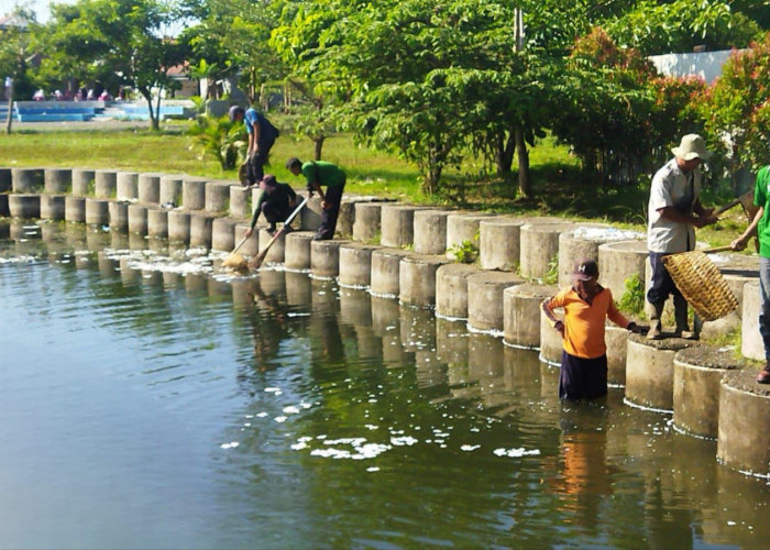 DLH Kabupaten Cilacap Tindak Sampah yang Menumpuk di Kolam RTH Soetomo