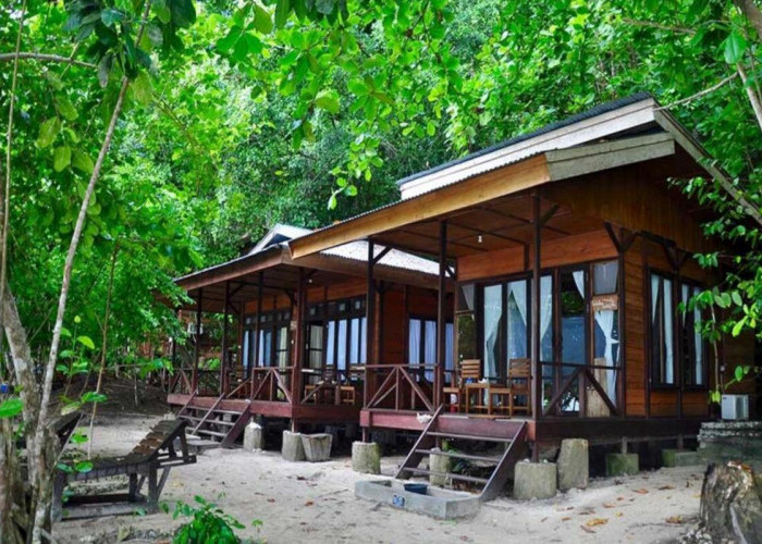Raja Ampat Dive Resort, Hotel Pinggir Pantai Milik Nadine Chandrawinata