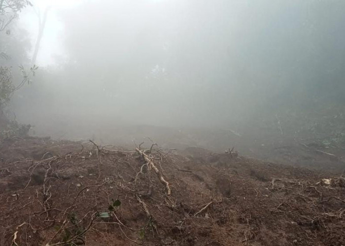 Waduh, Hutan Lindung Gunung Slamet diatas Desa Kedungbanteng Rusak, Diduga Karena Proyek Air Bersih     