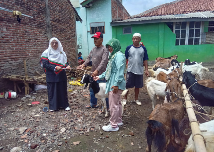 Atik Luthfiyah Dorong Pertumbuhan Ekonomi Keluarga Lewat Penyaluran 22 Ekor Kambing 