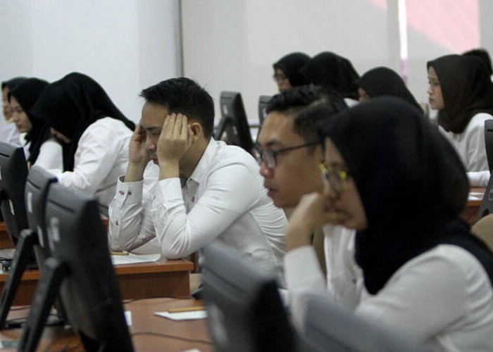 Buka Ribuan Formasi! CPNS 2025 Siap Angkat Lulusan SMA hingga S2, Cek Daftar Instansinya Sekarang!